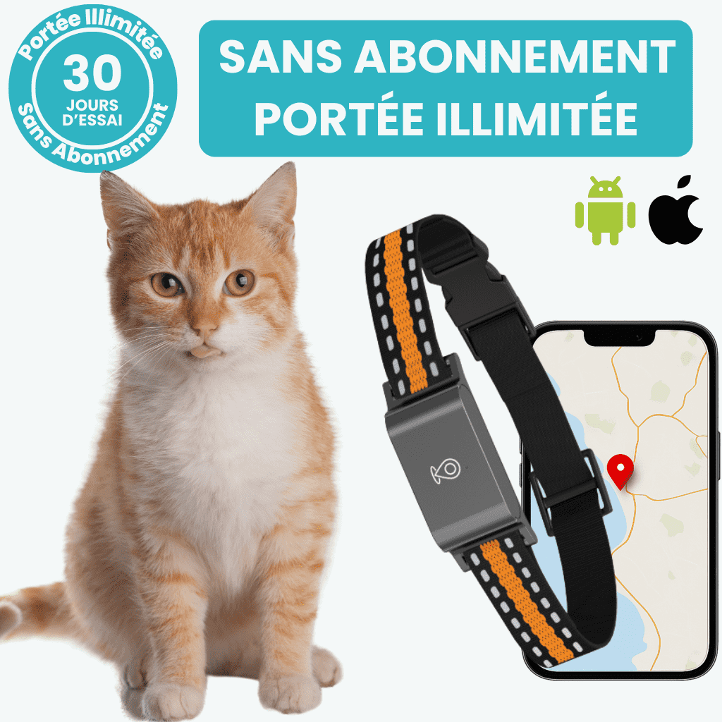 Comfexia™ – Collier GPS Chat Sans Abonnement, Suivi en Temps Réel