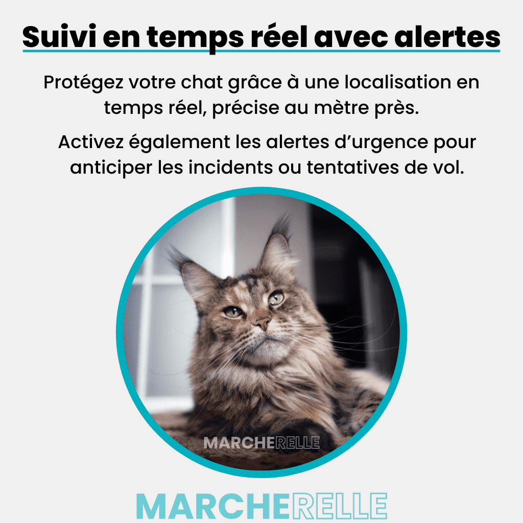 Comfexia™ – Traceur GSS Chat Localisation Discrète Sans Abonnement