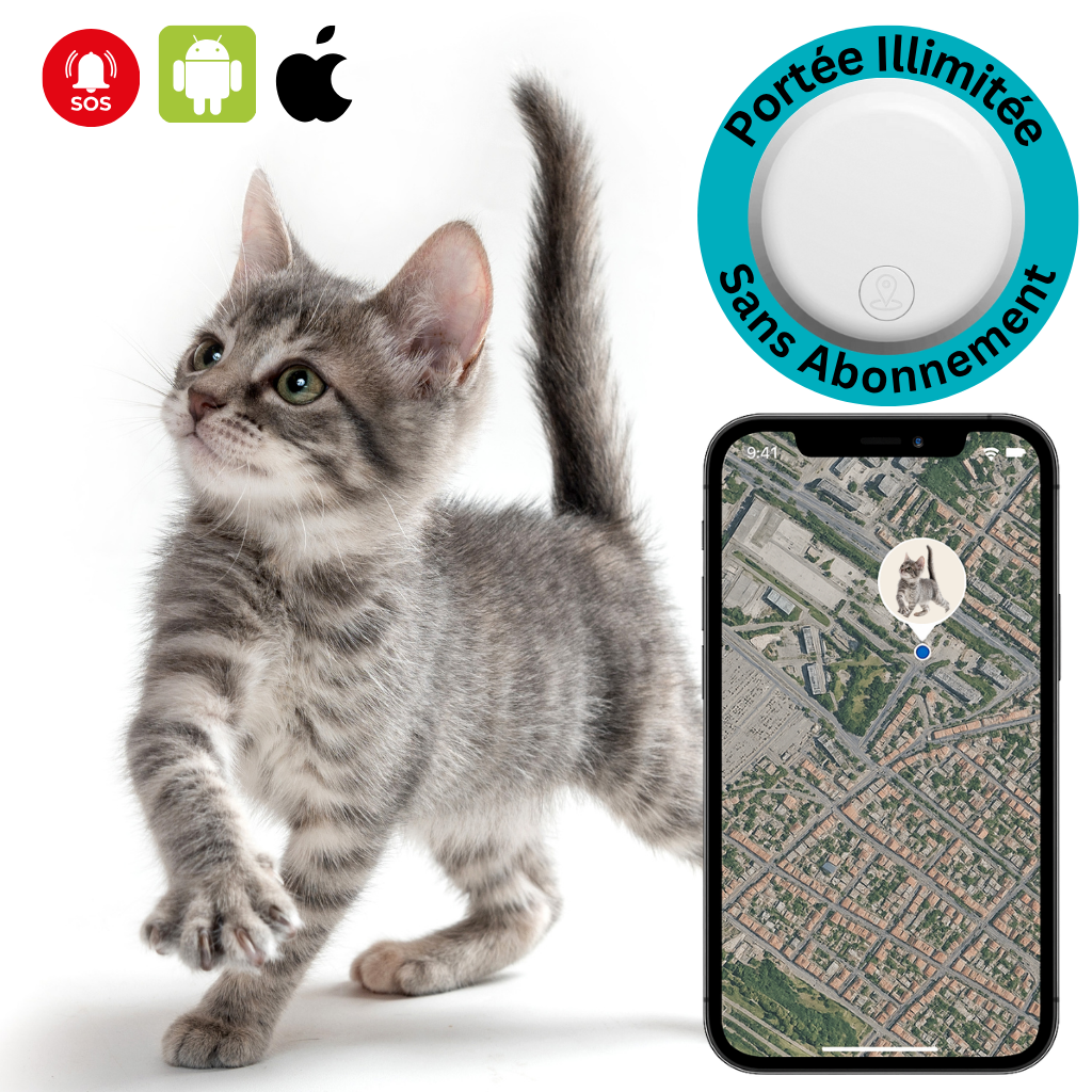 Comfexia™ – Traceur GSS Chat Localisation Discrète Sans Abonnement