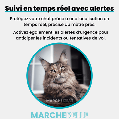 Comfexia™ – Traceur GSS Chat Localisation Discrète Sans Abonnement