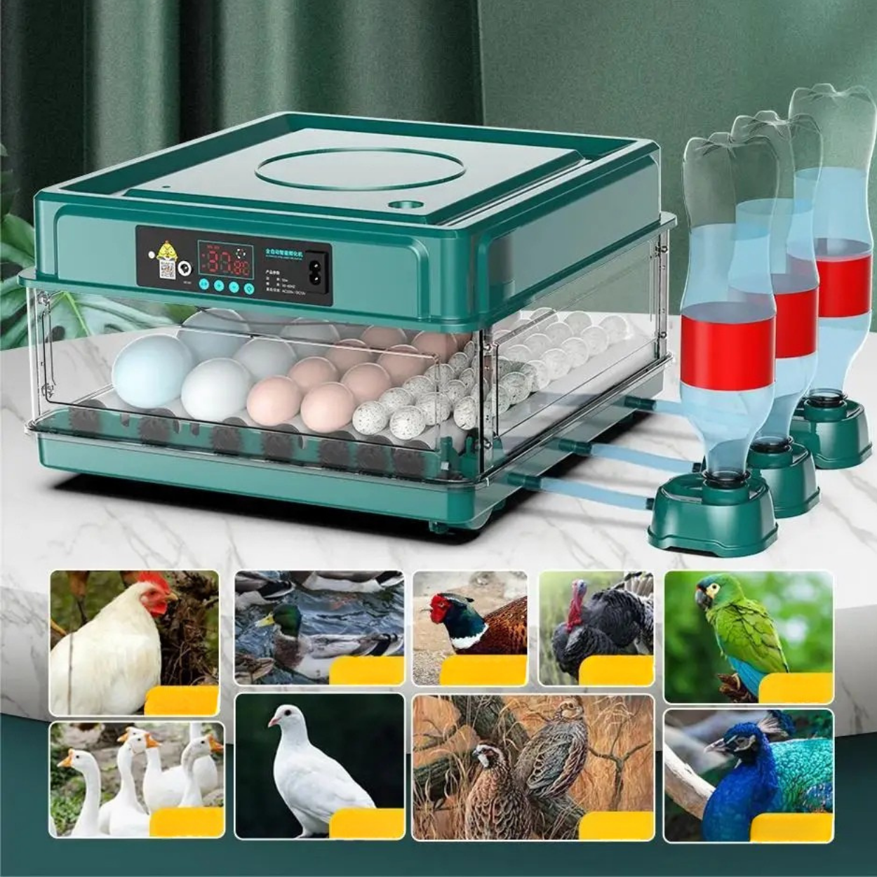 Couveuse Œufs Automatique avec Retournement et Contrôle de Température