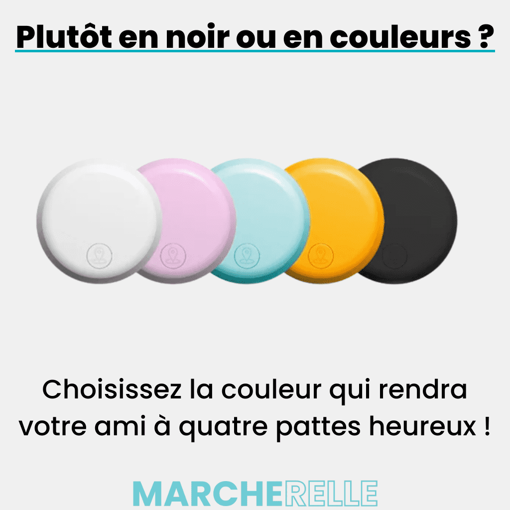 Geokid™ – Traceur GPS Enfant Sans Abonnement, Suivi Précis En Temps Réel