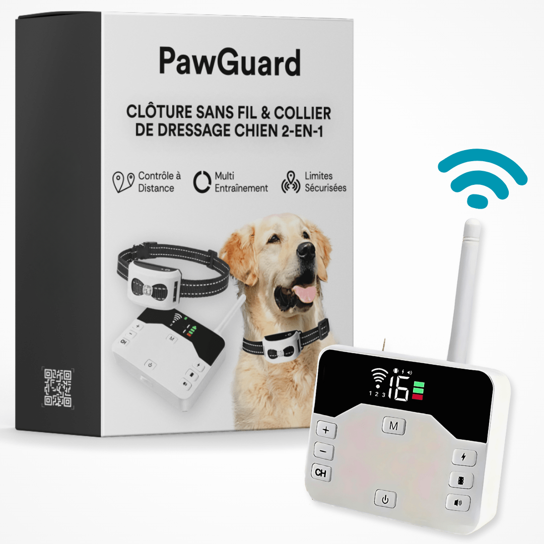 Collier Electrique de Dressage pour Chien avec Zone de Sécurité ...