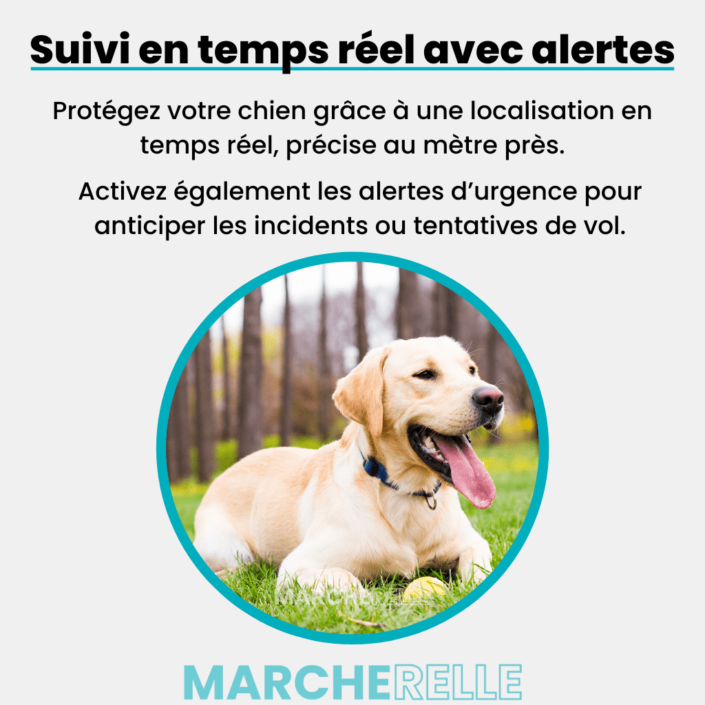 Marcherelle™ – Traceur GPS Chien Sans Abonnement 3 en 1