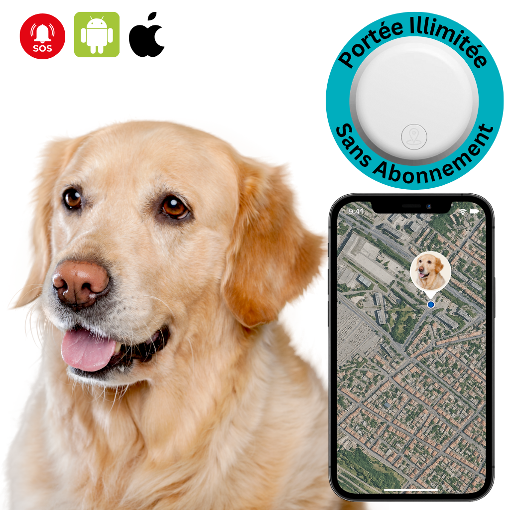 Marcherelle™ – Traceur GPS Chien Sans Abonnement 3 en 1