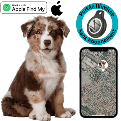 Marcherelle™ – Traceur GPS Chien Sans Abonnement, Localisation Temps Réel