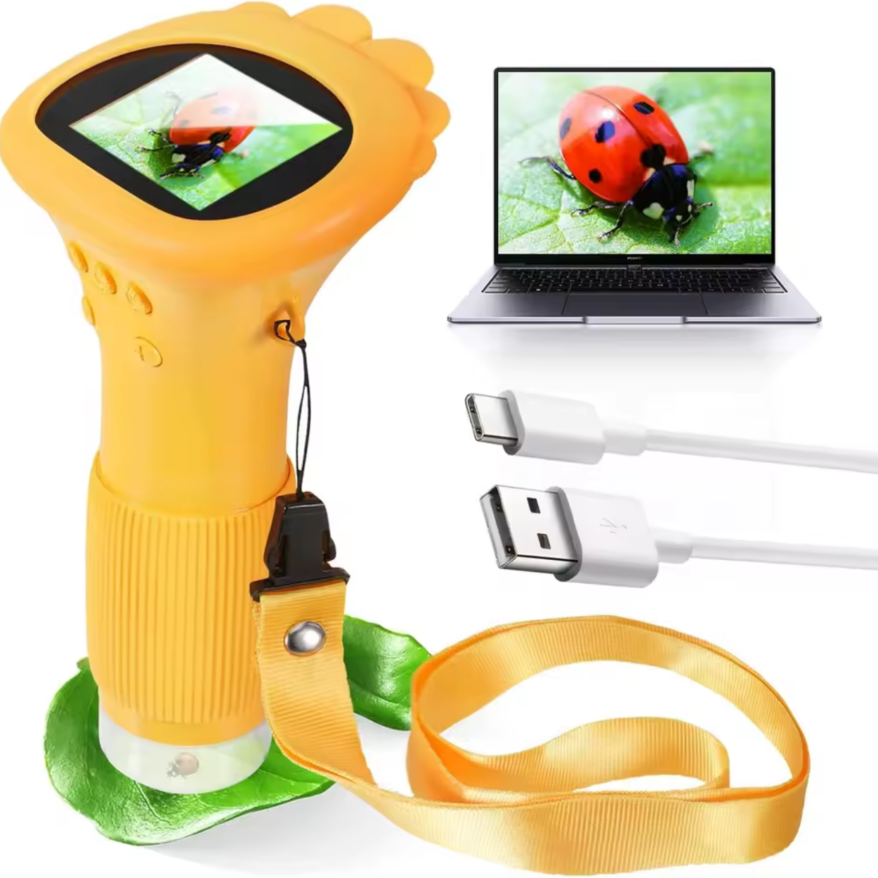 Microscope pour Enfants avec Écran Numérique Coloré