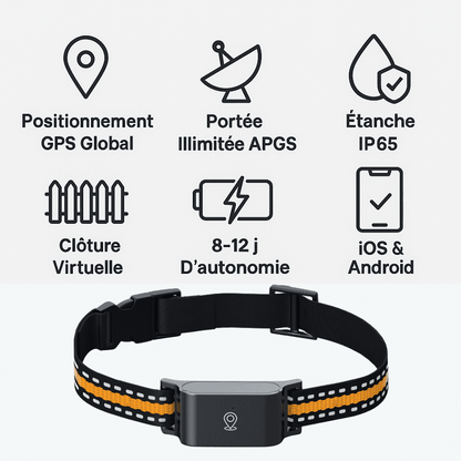 Marcherelle™ – Collier GPS Chien Sans Abonnement Suivi Précis & Illimité